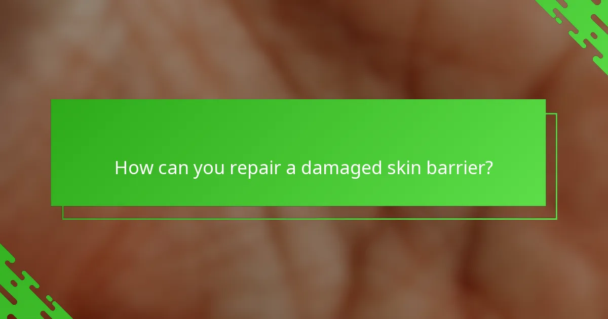 How can you repair a damaged skin barrier?
