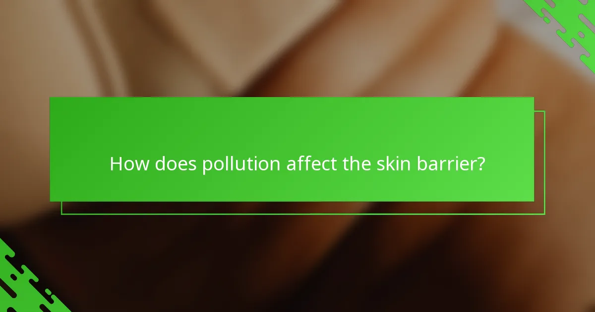 How does pollution affect the skin barrier?