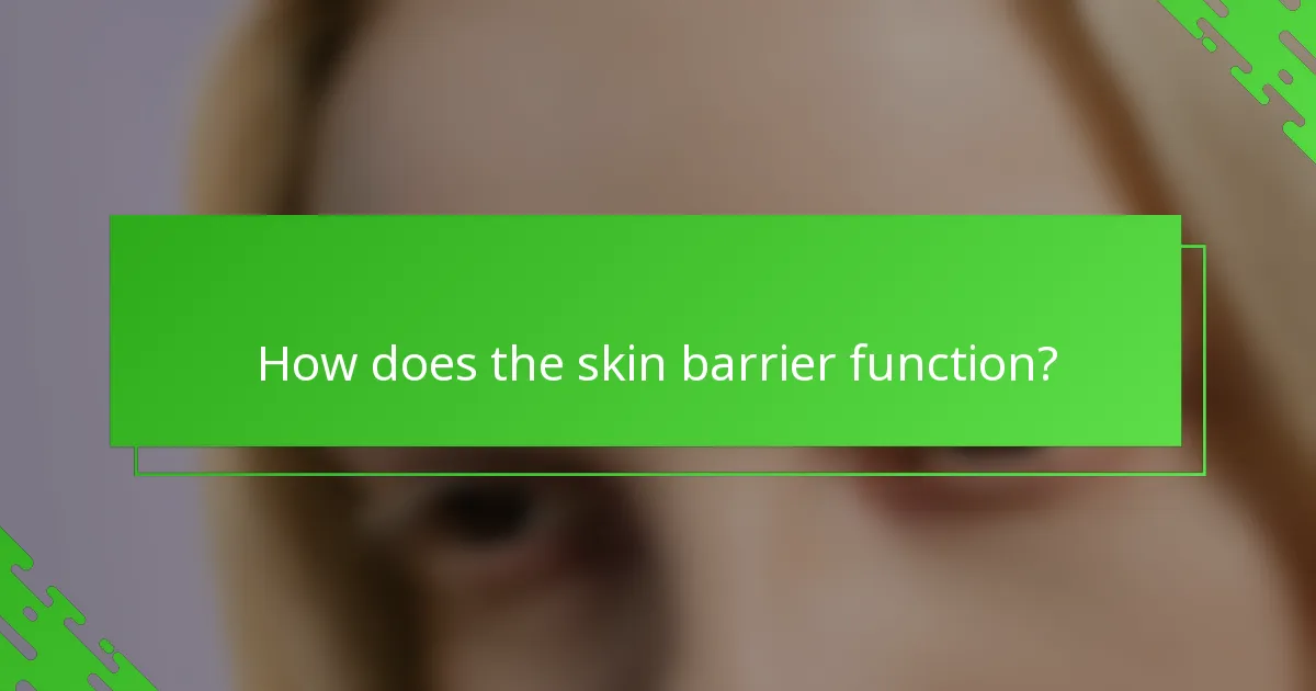 How does the skin barrier function?