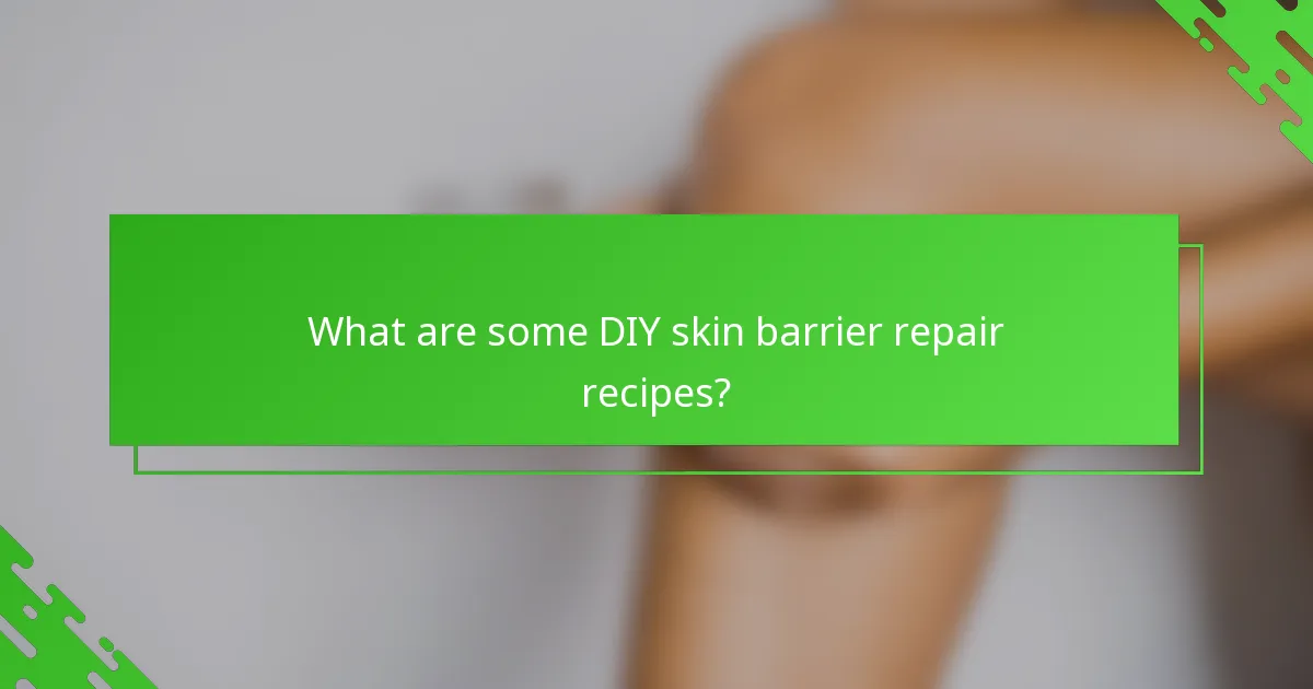What are some DIY skin barrier repair recipes?