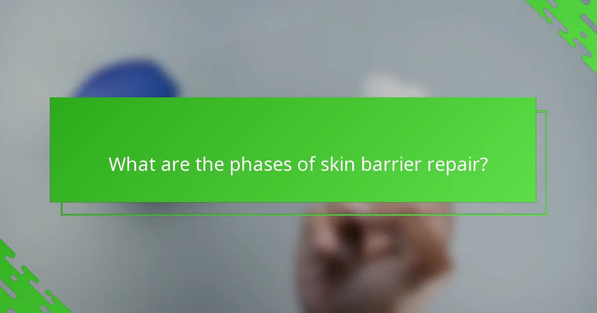 What are the phases of skin barrier repair?