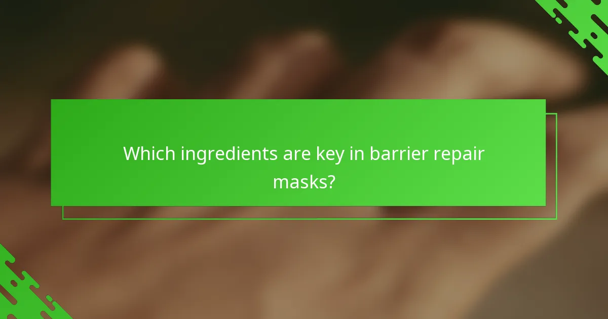 Which ingredients are key in barrier repair masks?
