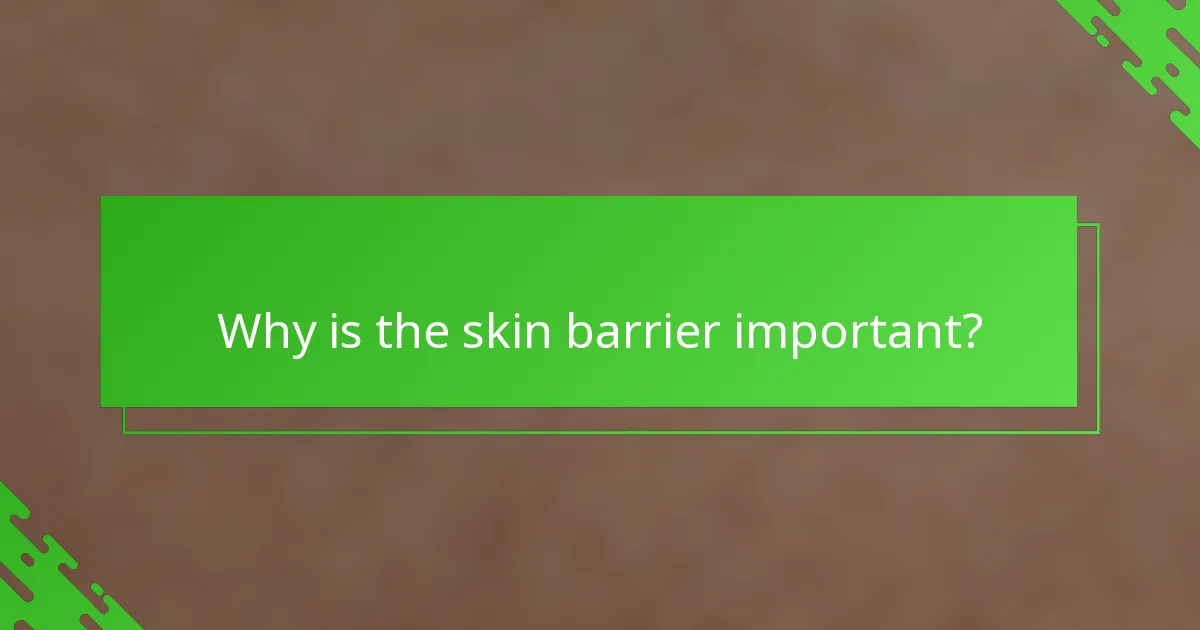 Why is the skin barrier important?